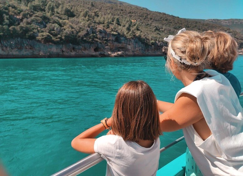 Picture 4 for Activity Setúbal: Dolphin Watching Tour 5