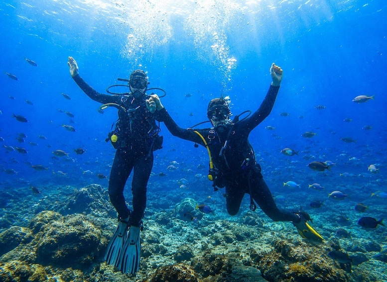 Tenerife: Discover Scuba Diving with Free Photos 1