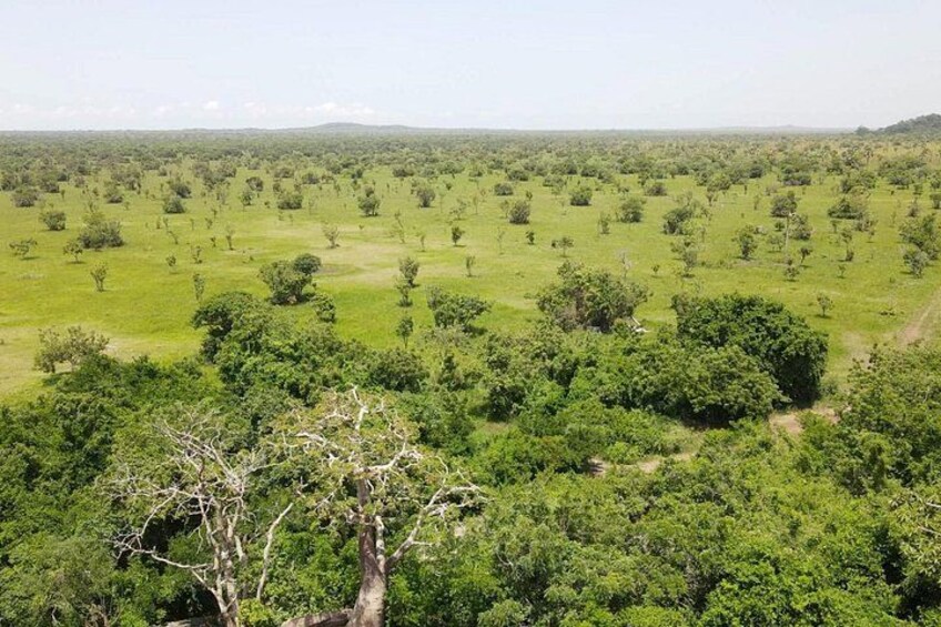 Shia Hills Safari & Akosombo Boat Cruise Day Tour 2