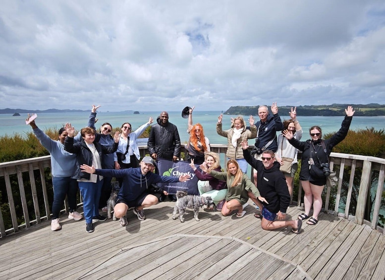 Picture 8 for Activity Auckland: Cathedral Cove & Hot Water Beach Tour with Lunch 2