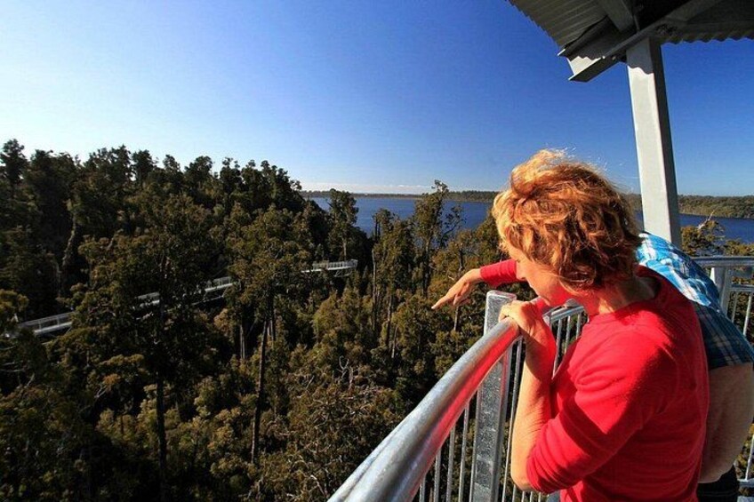 Una persona con una camisa roja de pie en un balcón con vistas a una zona boscosa y un cuerpo de agua al fondo. 4