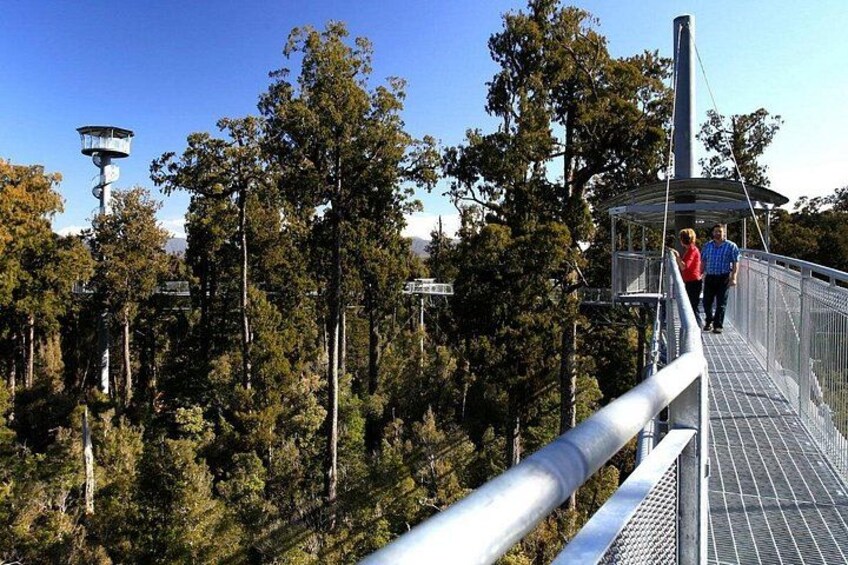 Un puente colgante con barandillas de metal, rodeado por un bosque denso y árboles altos. 2