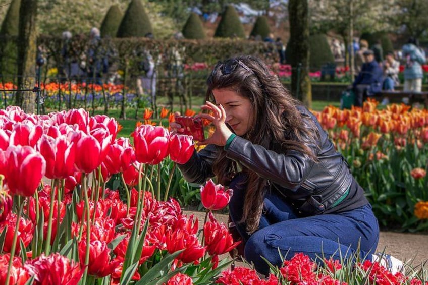 Eine Person kauert zwischen roten Tulpen in einem Garten. 2