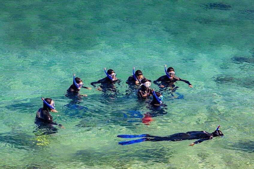 Guided snorkeling route in the Strait Natural Park 4