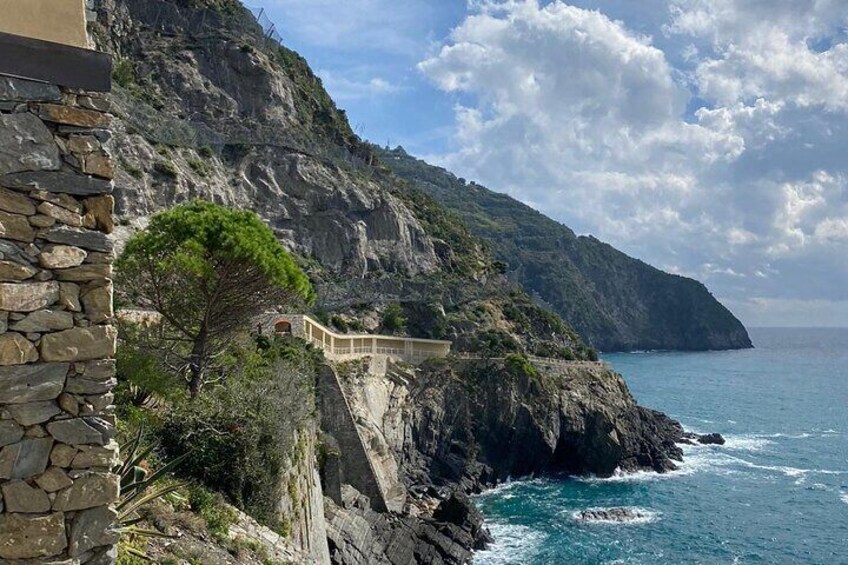 A coastal cliff with a stone building, a tree, and a sea view. 2