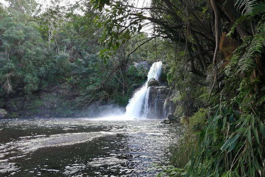 Discovery Day of Reunion Island: sublime beach, sumptuous landscape 1