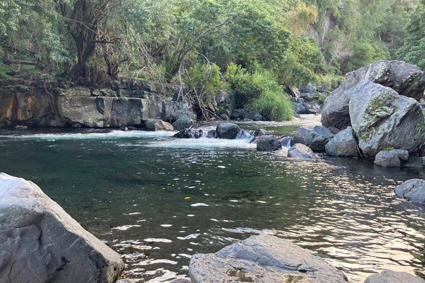 Discovery Day of Reunion Island: sublime beach, sumptuous landscape 5