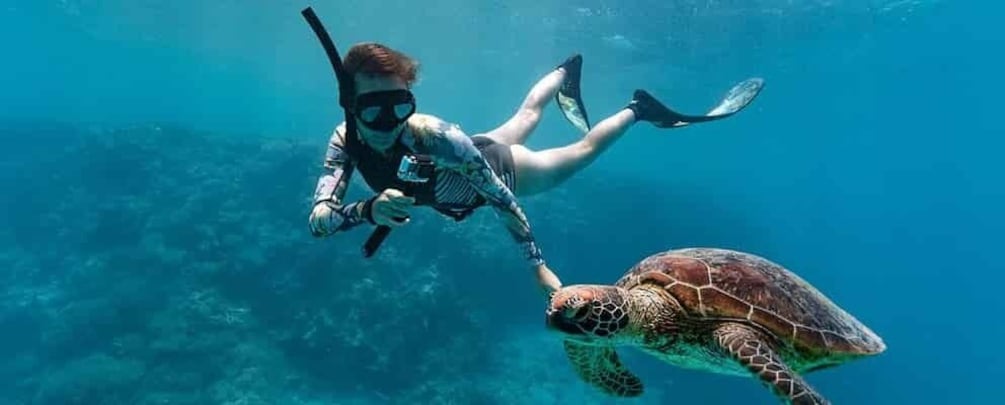 Una persona haciendo snorkel con una tortuga marina. 2