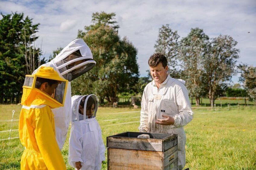 Small-Group Beekeeping Experience in Tauherenikau 1