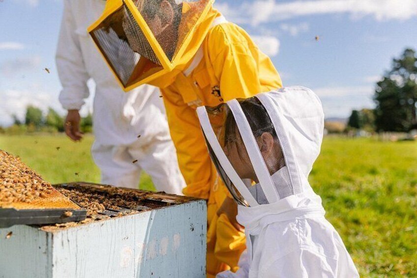 A person in a yellow protective suit inspecting a beehive. 1