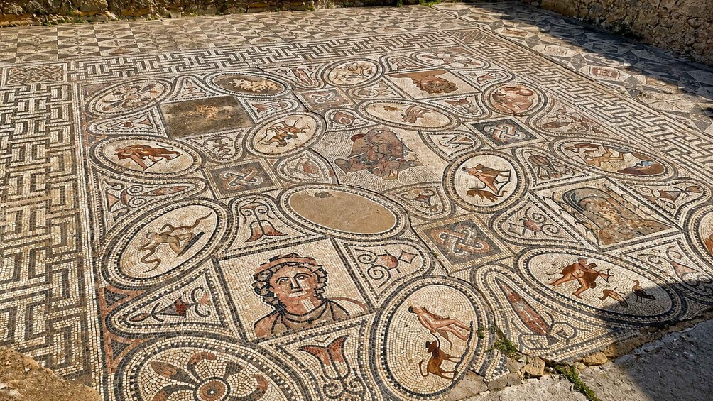 Picture 2 for Activity From Fes: Volubilis, Moulay Idriss & Meknes (Groups/Private) 2