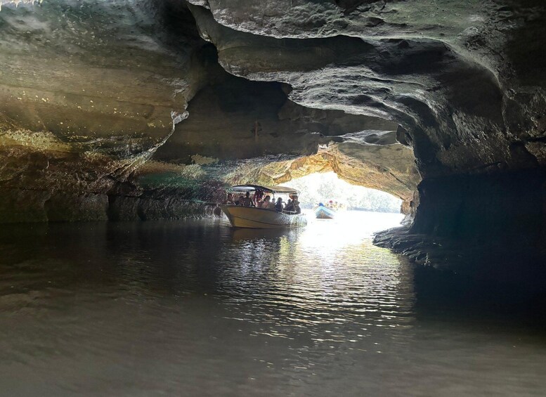 Picture 42 for Activity Langkawi: Kilim Mangrove Boat Tour with Lunch and Pickup 2