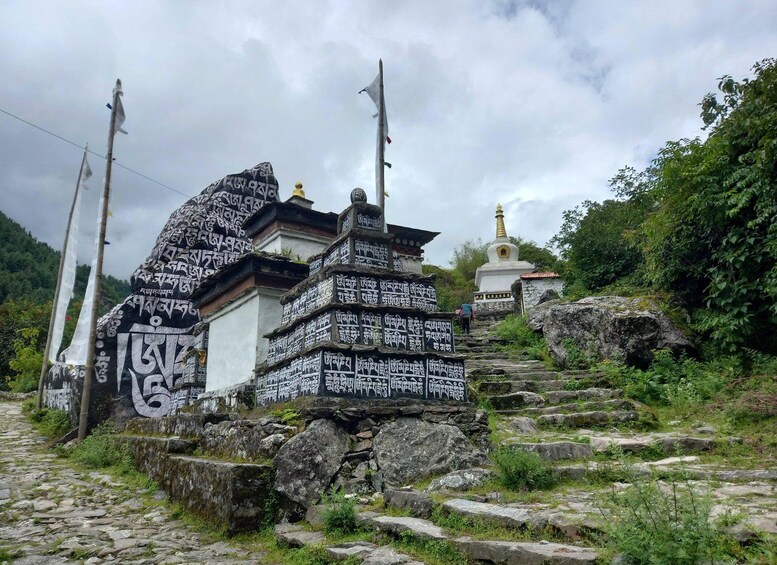 Picture 10 for Activity From Kathmandu/Lukla: Everest View 5-Day Trek 3