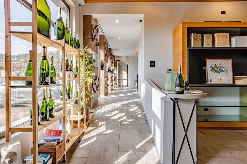 A modern interior with wooden shelves displaying wine bottles, a counter with a map, and a view of the outside. 5