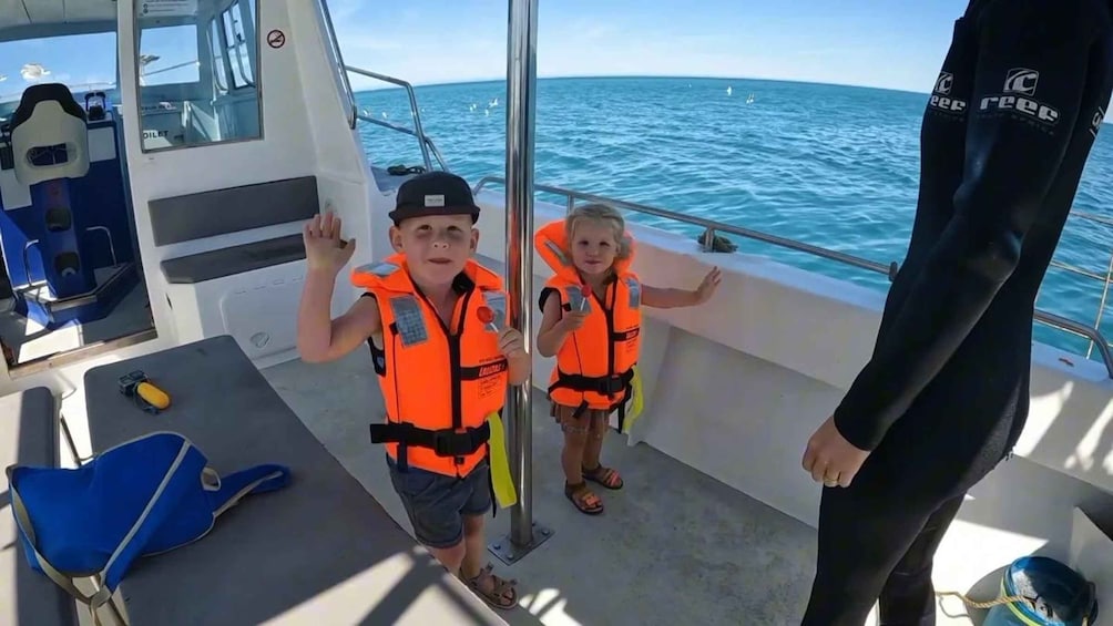Picture 7 for Activity Gansbaai: Shark Cage Diving and Shark Viewing Boat Trip 2