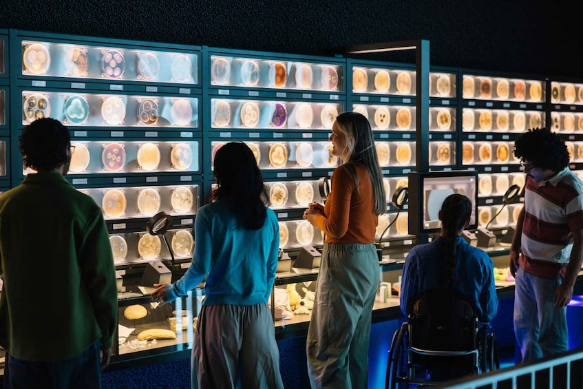 Amsterdam: ARTIS-Micropia Microbe Museum Entry Ticket 1
