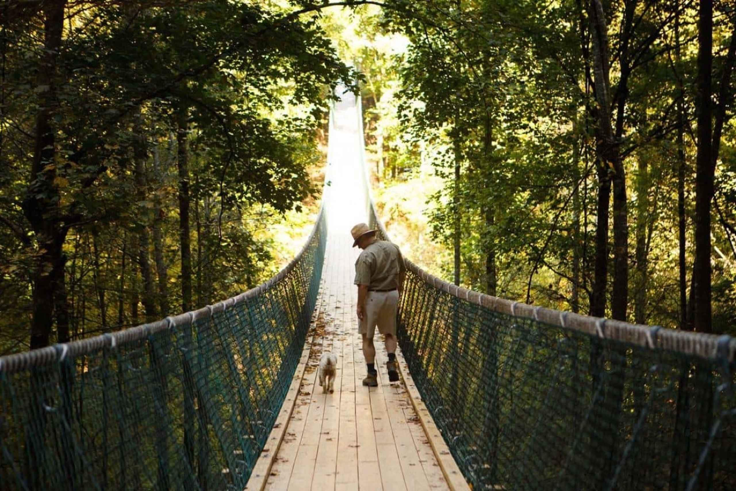 【中古】［CD］Tennesseefirebird Foxfire Mountain: Hiking & Swinging Bridge Family Adventure