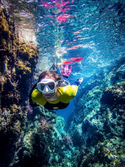 Cabo de Gata Natural Park: Guided Snorkeling Tour 1