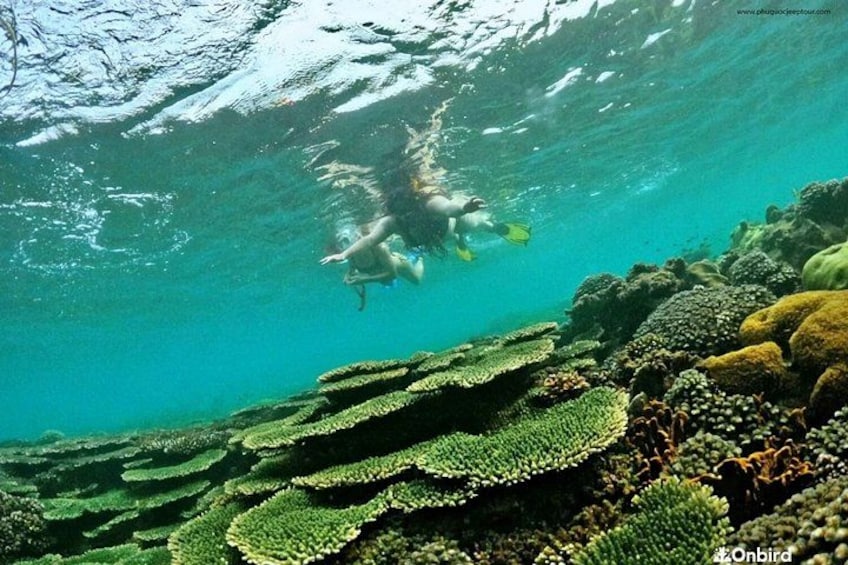A diver underwater with coral formations. 3