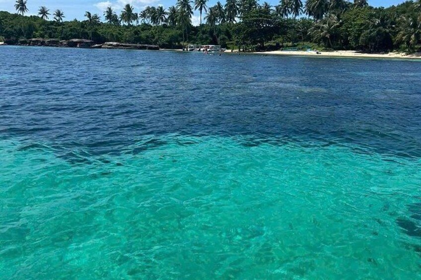 A turquoise sea, a sandy beach, and a line of palm trees. 4
