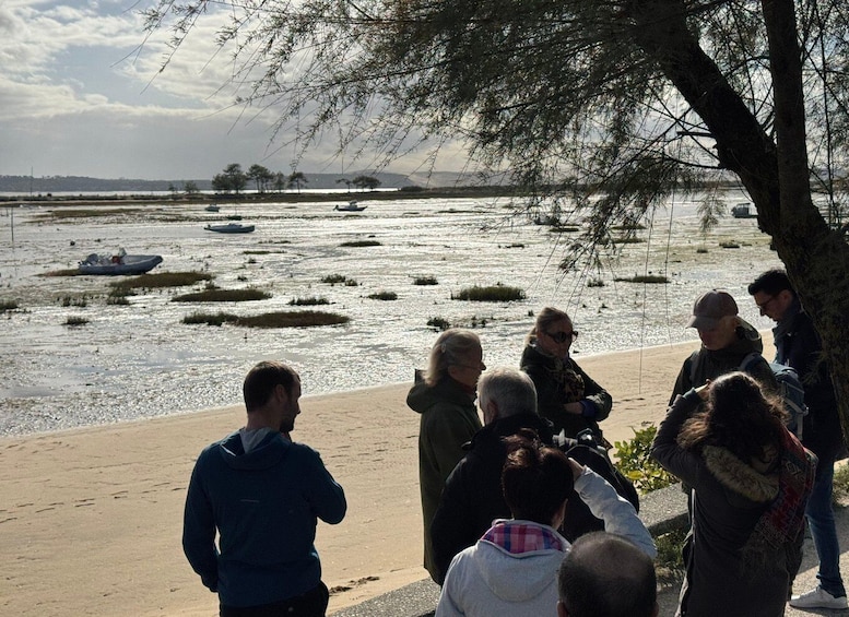 Picture 13 for Activity Bay of Arcachon: Guided Food Tour 4