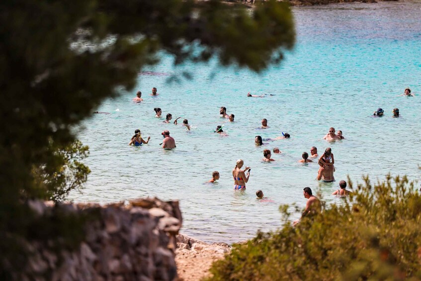 Picture 8 for Activity From Zadar: Kornati National Park and Telašćica with Ticket 4