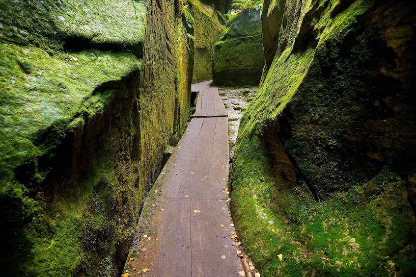 Picture 6 for Activity From Wroclaw: Hiking Trail in Rock City Adrspach 2
