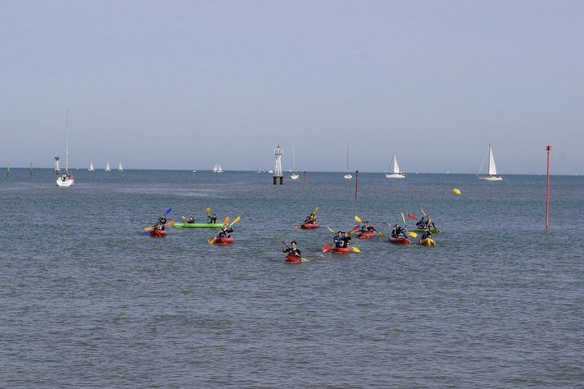 A group of kayakers on the water with sailboats in the background. 1