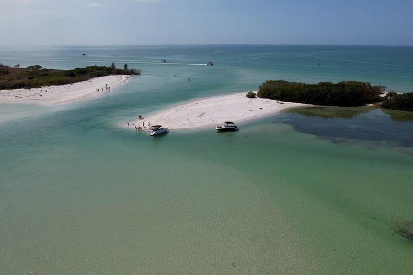 St. Pete Dolphin Watching and Shelling Adventure 1