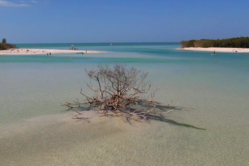 A clear shallow water area with a small island of driftwood in the foreground and a sandy beach with people in the background. 5