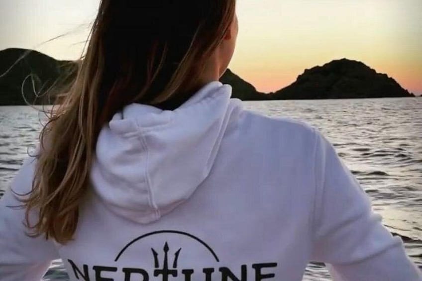 A person wearing a white hoodie with 'NERTLINE' text, facing a sunset over water with landforms in the distance. 2