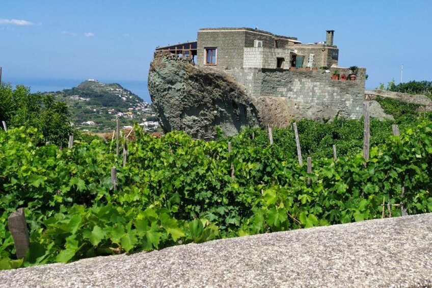 Half Day Private Guided Tour of the Island of Ischia 3