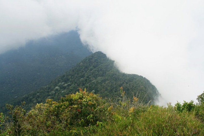Une montagne partiellement cachée par les nuages, avec une végétation verdoyante et dense au premier plan. 4