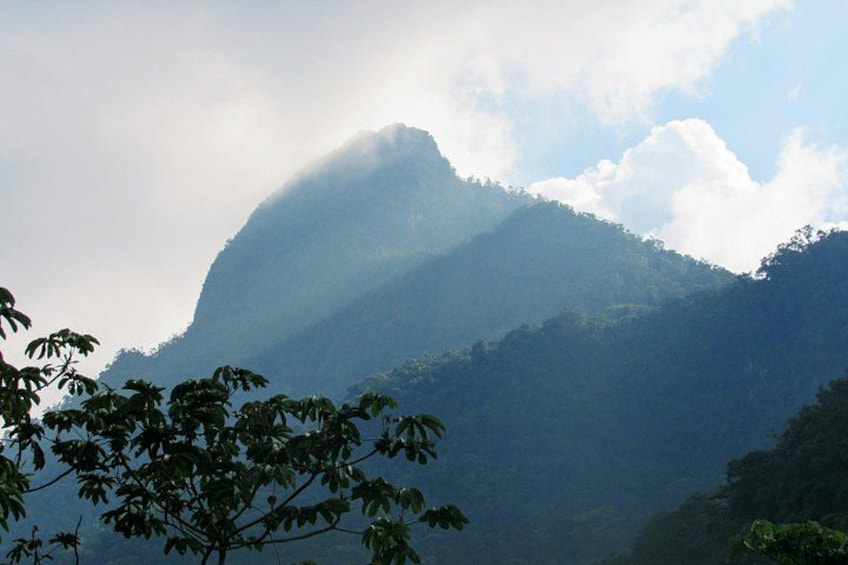 Une montagne partiellement cachée par les nuages, avec de vastes zones boisées au premier plan. 1