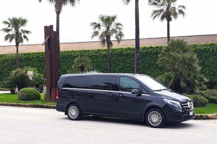 A black van parked on a street with palm trees and a hedge in the background. 2