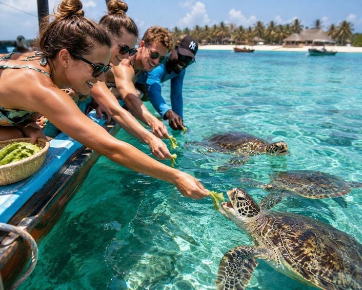 Picture 1 for Activity Zanzibar: North Coast and Turtle Sanctuary Tour 2