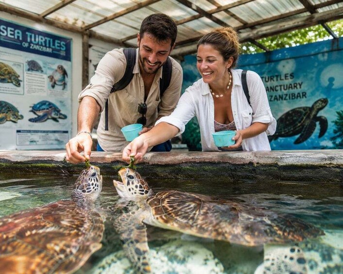 Zanzibar:Swim with Turtles & Explore the North Coast 3