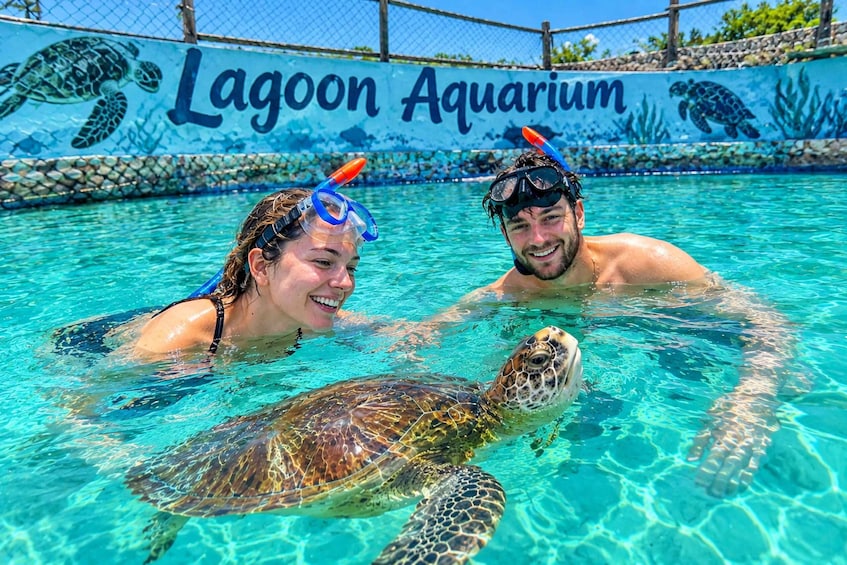 Zanzibar:Swim with Turtles & Explore Nungwi Beach with Lunch 2