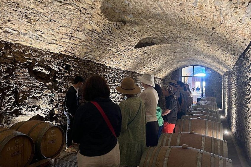 3 Cellars in Chianti with Visits, Wine Tastings, Lunch&Transfer 2