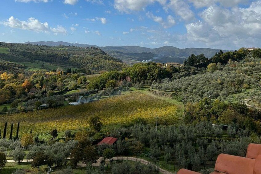 3 Cellars in Chianti with Visits, Wine Tastings, Lunch&Transfer 3