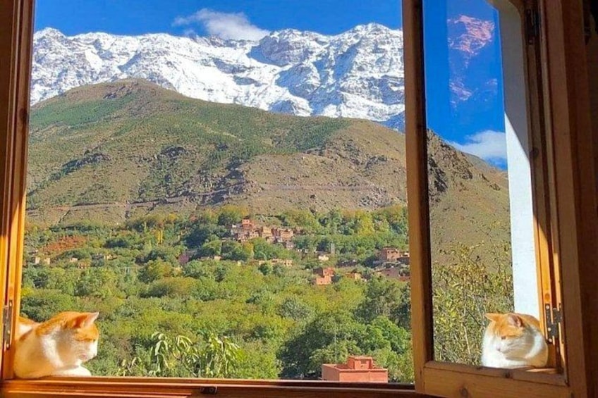 A mountain landscape with snow-capped peaks, a village below, and two cats on a window sill. 1