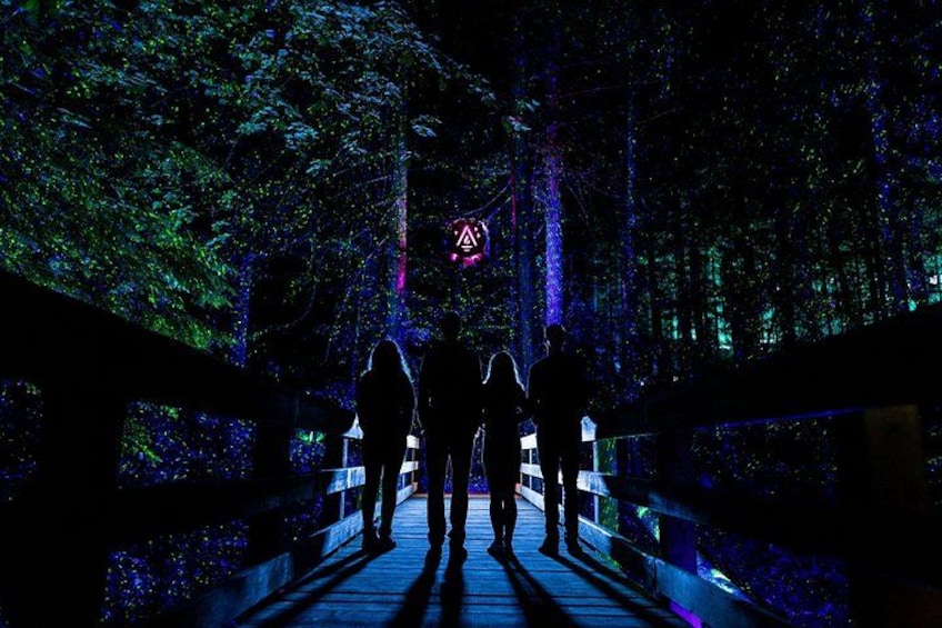 Experience a world of hidden wonders and beautiful lights 3