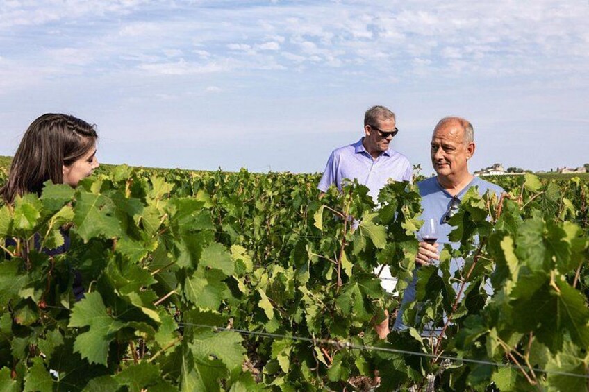 Full Day Tour Saint Emilion with lunch two Chateaux and Village 5