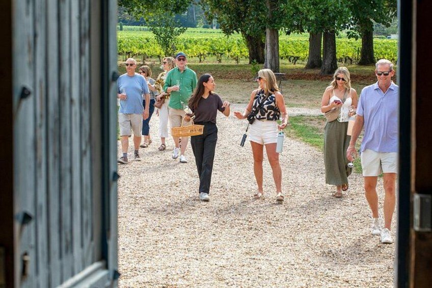 People walking on a gravel path in a vineyard. 3