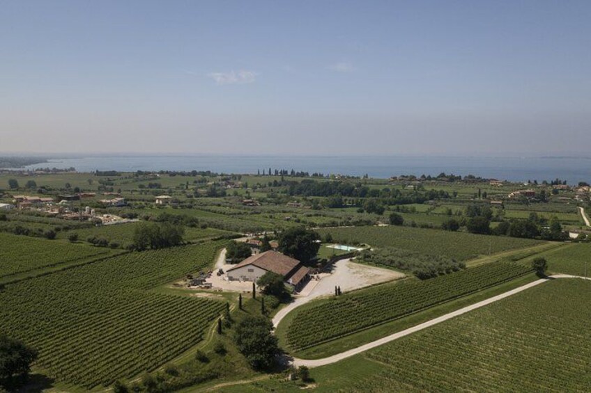 Visit and wine tasting at Tenuta La Cà 1