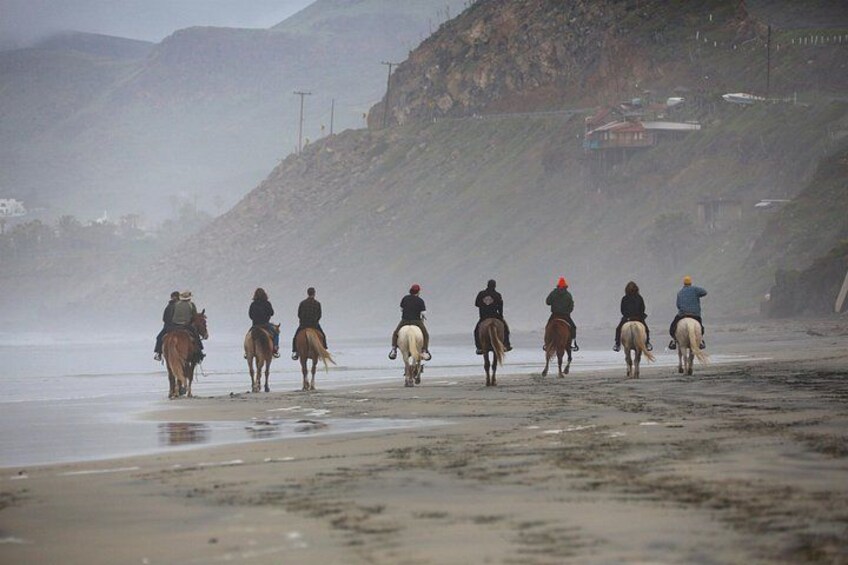 Un groupe de personnes à cheval, galopant le long d’une plage brumeuse, avec un paysage vallonné en arrière-plan. 5