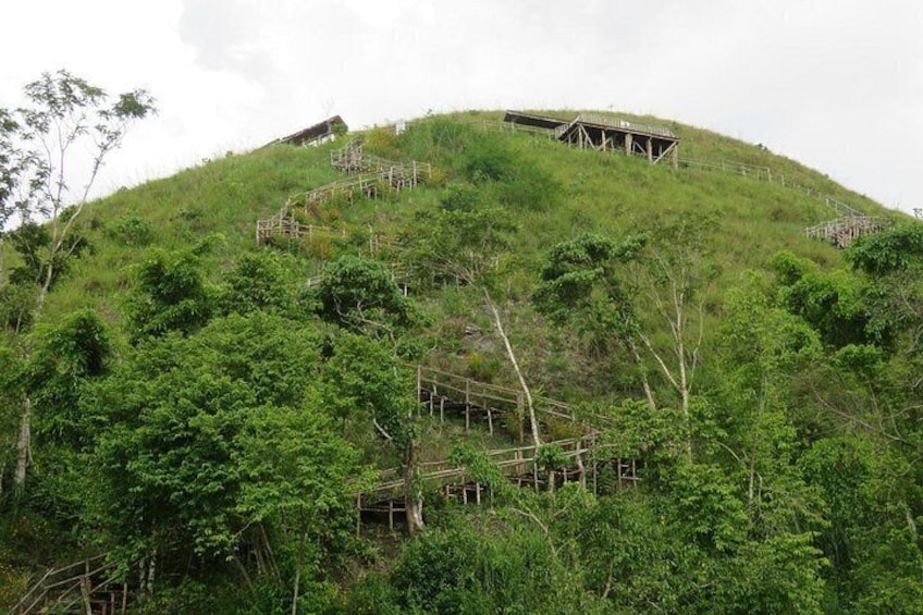 Bohol Countryside Tour: Chocolate Hills, Tarsier and Loboc River 3