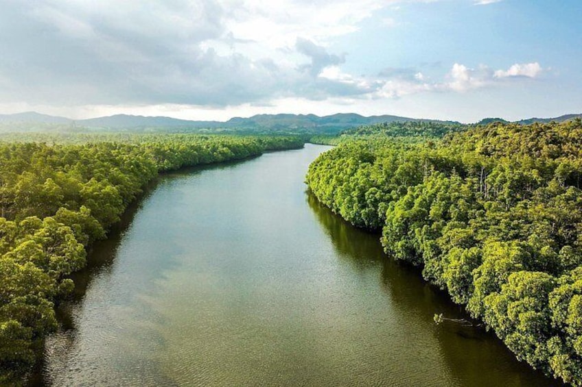 Bohol Countryside Tour: Chocolate Hills, Tarsier and Loboc River 5