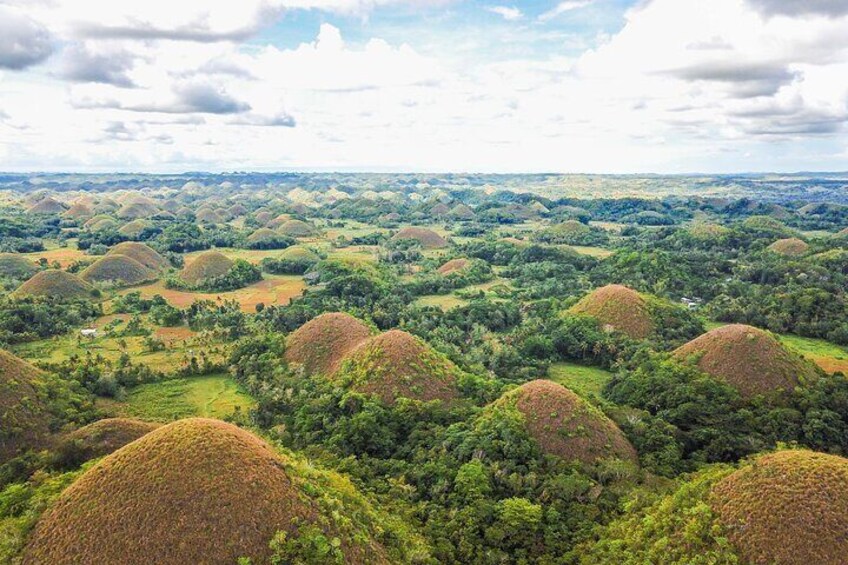 A landscape with numerous mounds or hills, surrounded by dense greenery and trees. 5