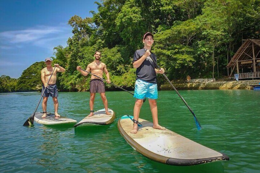 Three people paddleboarding on a calm river surrounded by lush greenery. 4